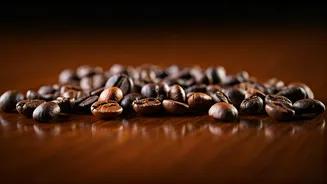 India's Regional Coffee Scene Is Booming