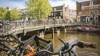 Amsterdã proíbe anúncios de carne nas ruas