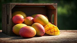 Why Delhi Mango Fest Is The Sweetest Weekend Plan