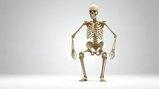 Squatting Daily: Benefits & Impact on Your Body