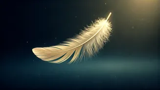 7 Angelic Signs: Is Your Connection Spiritually Guided?