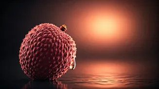 Unveiling the Allure of Lychee: A Guide to the Top 16 Captivating Lychee Fragrances