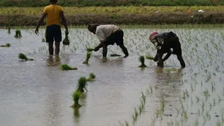 Kerala seeks ₹110cr emergency aid for flood-hit farmers after floods