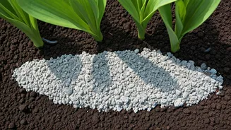 Layer Organic Wood Ash Over Garden Soil To Deter Slugs