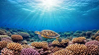 Dive into Wonder: Discover the World's Most Astonishing Underwater Havens