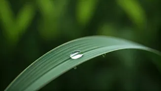Your Skin Deserves Extra Care This Monsoon