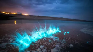 Are Europe's bioluminescent bays worth exploring?