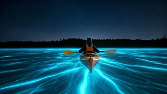 Bioluminescence Kayaking Is The Glow-In-The-Dark Flex
