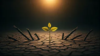 The Unbreakable Spirit: Rise Eight Times for Every Seven Falls, Paulo Coelho's Secret to Life