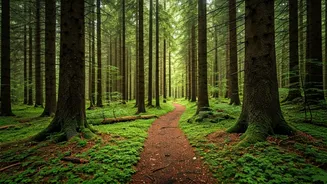 5 Hidden Delhi Forests: Nature Escapes!