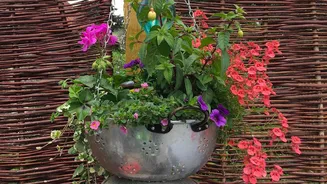 Related Stories banner