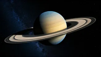 Daily Saturn Forecasts: Your Zodiac Insights
