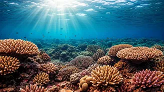 Dive into Wonder: 6 Mesmerizing Underwater Destinations for Unforgettable Adventures