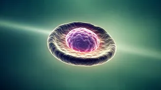 Reversing Insulin Resistance: Unveiling Your Body's Remarkable Recovery Signals