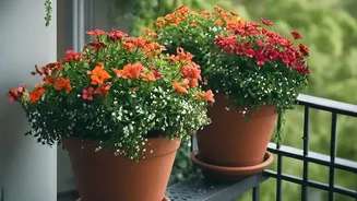 August's Heat-Humidity Balcony Test: A Practical Look At Choosing Resilient Plants