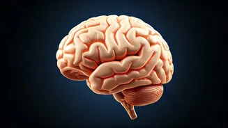 Is Sleep Deprivation Hurting Your Health?