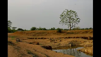 How Recycled Fibres Can Harvest Water from Air
