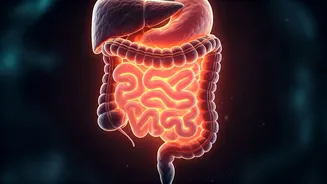 Your Body Loves A Healthy Gut