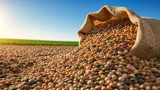 Aatmanirbharta in Pulses: India's Self-Sufficiency Mission