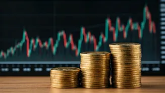 Top Stocks in India: Market Movers and Key Players