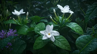 Enchanting After Dark: Discover the Magic of Night-Blooming Flowers