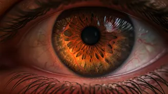 High Altitude Vision Loss: Eye Surgeon's Rare Case