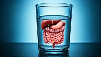 Salt Water on Empty Stomach: The Body's Reaction