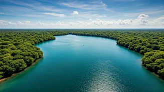 Odisha: India's Undiscovered Gem - Unveiling its Top Travel Treasures in 2026