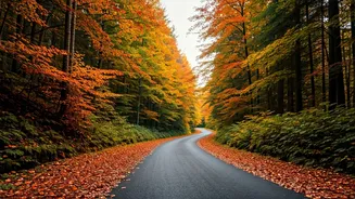 Travel Plans Shift Towards The Northeast