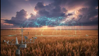 Farmers Need Weather Lead Times, And AI Could Make Them More Useful