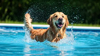 Local Canine Splash Events Provide Ultimate June Heat Refreshment