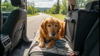 Road Travel With Pets Needs Rest Stops, Shade And Feeding Discipline