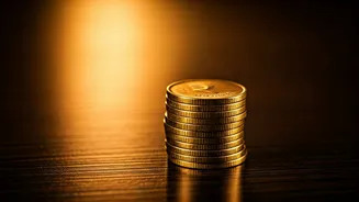 Indian Economy Shines: RBI's Positive Outlook & Future Trends