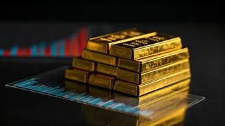 Unlock Smart Investing: Top Funds & Subscription Perks