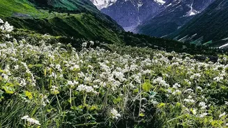 Independence Day Long Weekend: Conquer High Altitude Uttarakhand Valleys With Smart Safety Planning
