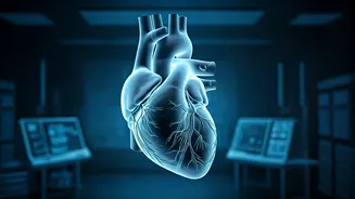 Silent Heart Attacks: Understanding Myocardial Infarction with Non-Obstructive Coronary Arteries (MINOCA)