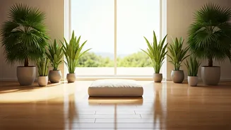 5 Habits for Happiness: Daily Rituals for Joy