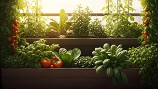 Balcony Vegetables Make Urban Homes Feel Useful