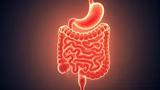 Fibermaxxing Trend: Gut Health Glow-Up Sweeps Social Media