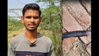 UP Farmer Bites Snake After Being Bitten By It, Says 'I Was Angry, Scared'