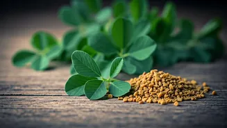 Methi Makes Home Food Taste More Layered