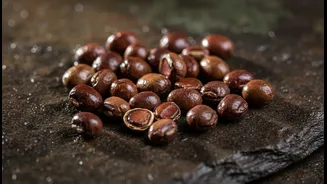 The Next Questions around Horse Gram Go Beyond Affordable Regional Pulse Cooking
