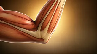 Boost Elbow Strength: Traditional African Exercises for Enhanced Joint Health