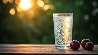 Traditional Kokum Infused Sparkling Water Refreshes Humid Summer Evenings