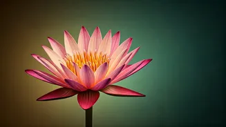 Chaitra Navratri: Embrace Divine Blessings for Strength and Prosperity