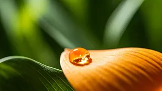 Combatting Metro Pollution: Your Guide to Vitamin C for Radiant Indian Skin
