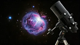 Related Stories banner