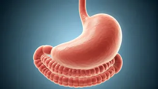 Unexplained Anemia: Bloating's Unexpected Link