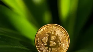 Digital Gold Risks: Counterparty And Operational Issues Investors Should Understand