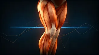 Related Stories banner